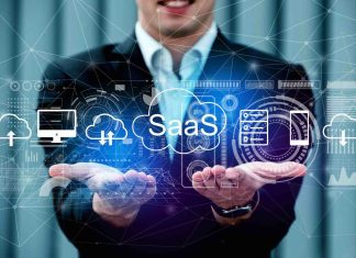 SynBird : la solution SaaS pensée pour les mairies modernes ? SynBird